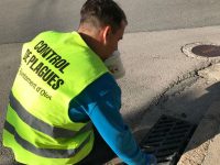 Campanya de control de mosquit tigre a Olot