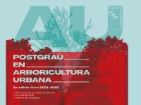Segona edició del Postgrau en Arboricultura Urbana