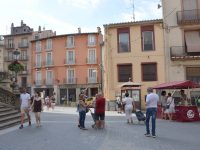 Punt informatiu sobre el mosquit tigre al mercat d’Olot