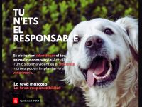 La teva mascota, la teva responsabilitat