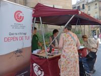 Punt informatiu sobre el mosquit tigre al mercat d’Olot