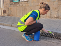 Actuació de control del mosquit tigre a Olot